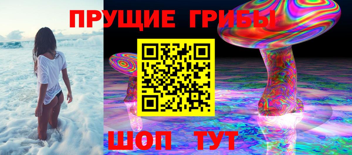 Галлюциногенные грибы Magic Shrooms  Галлюциногенные грибы ЛСД  Владимир  Вход с VPN 