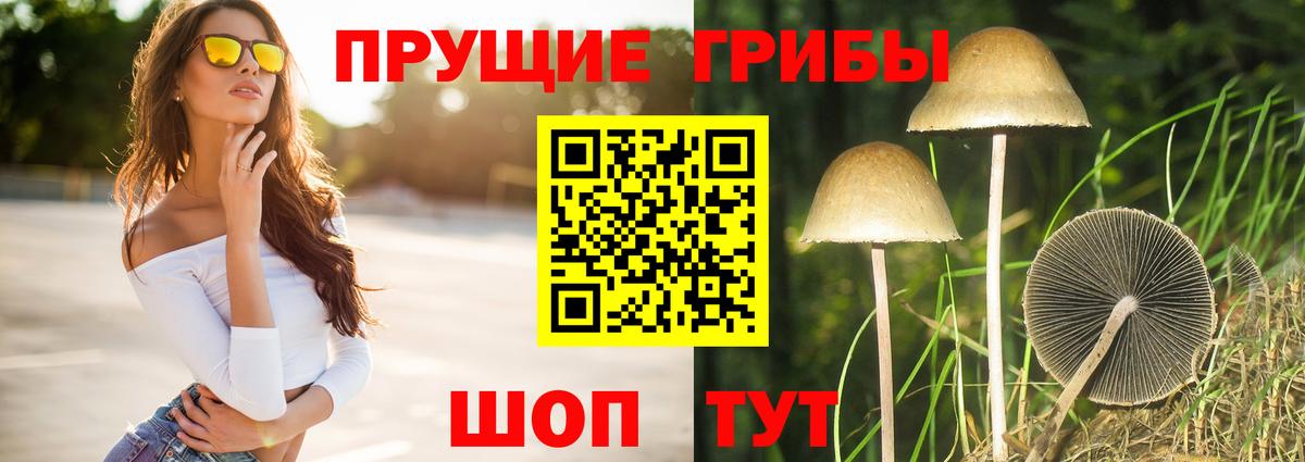 Псилоцибиновые грибы мицелий Владимир