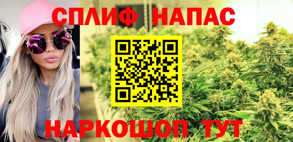 Владимир  Бошки Шишки конопля  Каннабис индика  Вход с VPN  МАРИХУАНА VHQ 